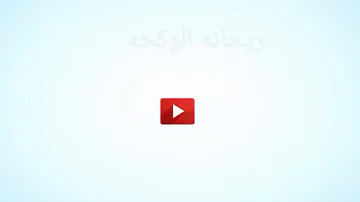 رقص بنات الاقسام داخليه يفوتكم طلاب الجامعه لاتنسو دعم للقناة