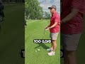 Different Types Of Golf Cart Drivers