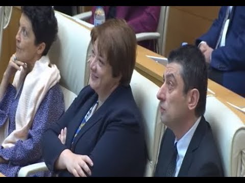 \"გახარიას უხარია\" - პარლამენტში