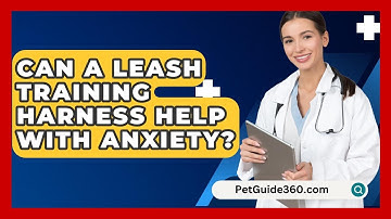 Can A Leash Training Harness Help With Anxiety? - PetGuide360.com
