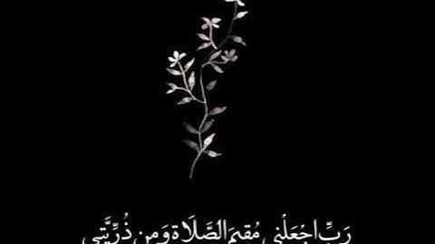 قرآن كريم بصوت القاريء طارق محمد  || حالات واتساب دينية || مقاطع قصيرة _ تلاوة عطرة خاشعة