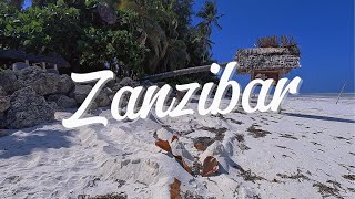 The beaches of Zanzibar, Tanzania 🇹🇿