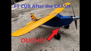 FT SIMPLE CUB Emergency Landing