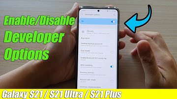 Galaxy S21/Ultra/Plus: How to Enable/Disable Developer Options