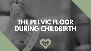 What Happens to the Pelvic Floor During Childbirth?