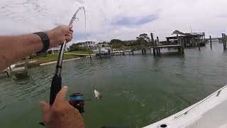 GULFSHORESMAN Fishing Alabama's ONO Island