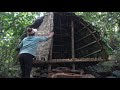 Solo Bushcraft & Camping, Build Shelter Tent in the Rainforest - Bushcraft Outdoor Ep.3