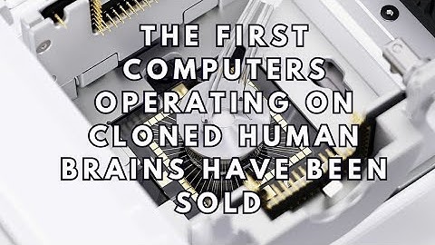 The first computers operating on cloned human brains have been sold