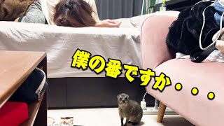 疲れたママを起こそうとしたら大失敗した件