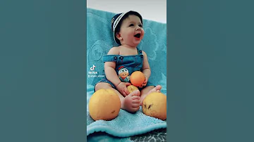 أغنيه طيور الجنه أنا البرتقاله بيبي كيوت 