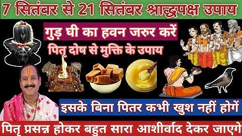 13 सितंबर शनिवार श्राद्ध पक्ष सप्तमी तिथि। शनिवार सप्तमी के 5 विशेष उपाय।#शनिवार #pradeepmishra 