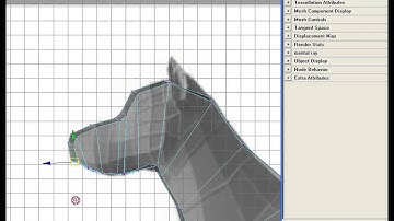 Making a dog in Maya Part 1