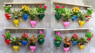 Good Ideas, Recycle Plastic Bottles into Beautiful Hanging Garden On Old Wall | Portulaca