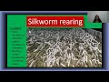 Silkworm Rearing - Varieties of Silk Moths and Rearing House