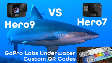 GoPro HERO7 VS HERO9 Underwater Image Quality Test - GoPro Labs QR Codes With Best Camera Settings