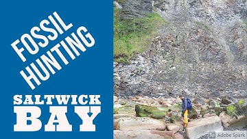 Fossil hunting Saltwick bay