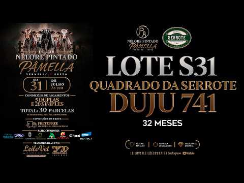 LOTE S31 DUJU 741