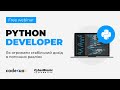 Python Developer: як отримати стабільний дохід в поточних реаліях