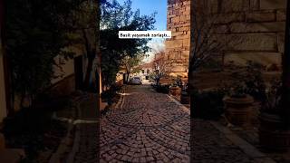 Yıldız Kenter Plastik Çiçekler