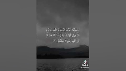 (األاله مع الله..)تلاوة تحبيريه خاشعه هادئه لما تيسر من سورة النمل للقارئ الشيخ / سعيد الخطيب
