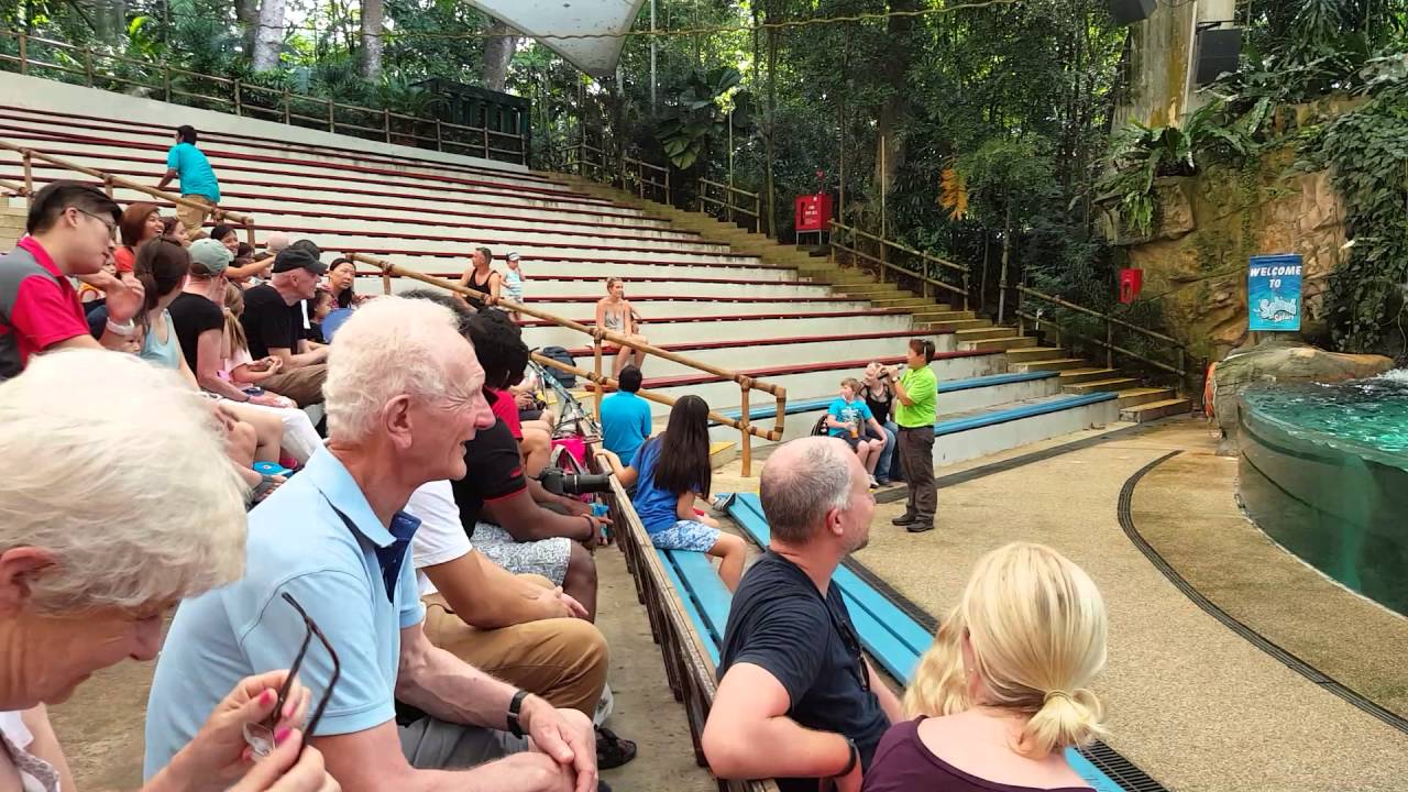 Splash Safari Show at Singapore Zoo YouTube