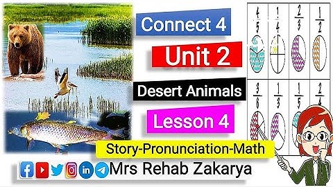 #connect 4 Unit 2 Lesson 4 الصف الرابع الإبتدائى الوحدة الثانية الدرس الرابع منهج كونكت