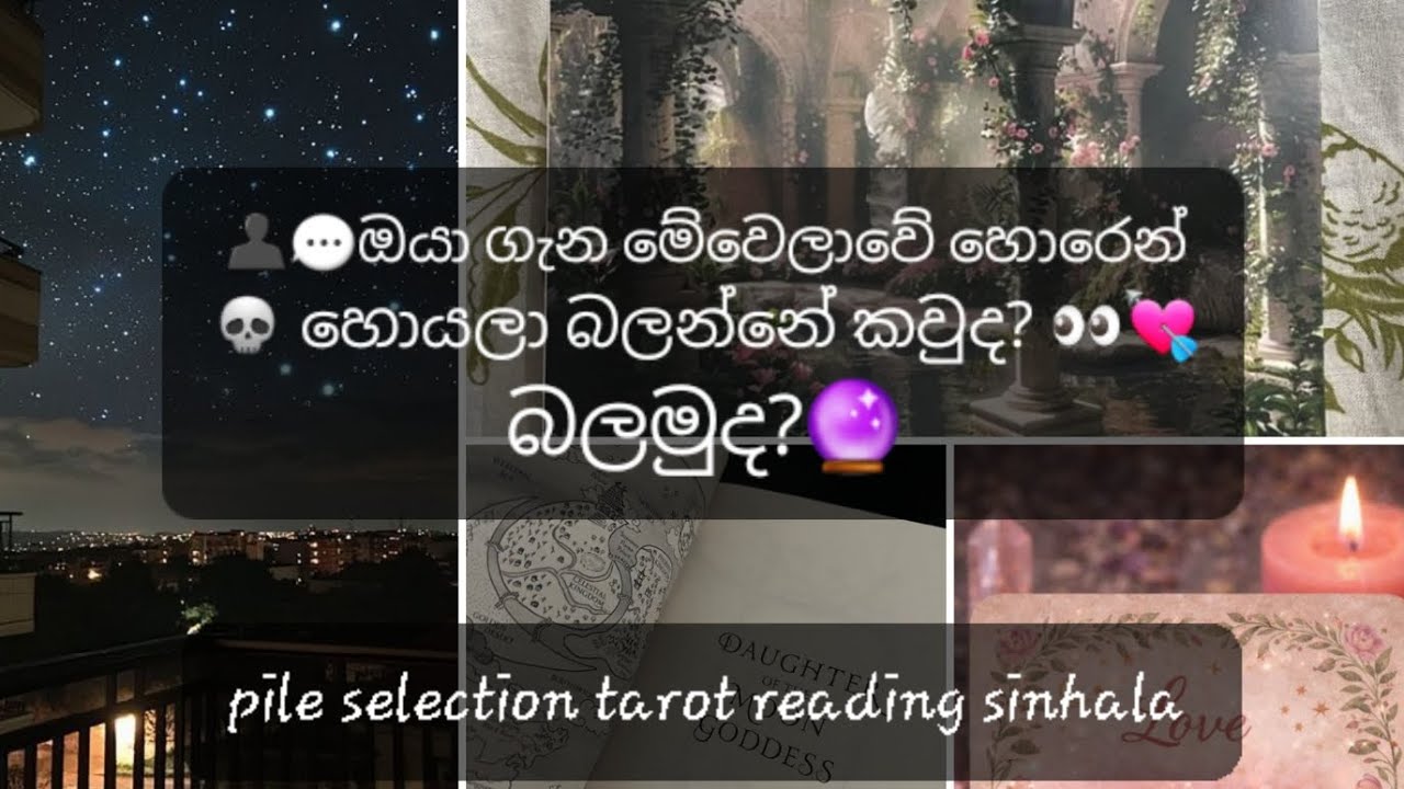 👤💬 ඔයා ගැන මේවෙලාවේ හොරෙන්💀 හොයලා බලන්නේ කවුද? 👀💘බලමුද?🔮🗝🎱💫 | pile selection tarot reading sinhala🎯💌