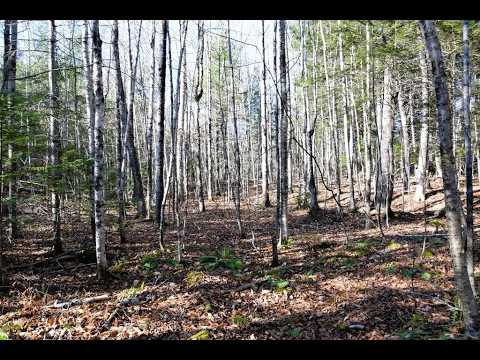 7 L19-5 Pine Bluff Rd, Embden, ME home video tour