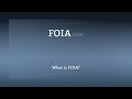 What is the FOIA?