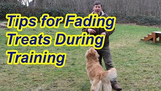 Tips for fading treats in training by My Dog Training Spot 1,620 views 3 years ago 4 minutes, 43 seconds