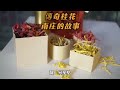 #創業故事 #桂花人生 #店主心聲 #桂花香裡說故事 #小鎮女力 #傳奇桂花釀 #溫暖影片