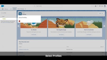 How to Restrict Field Access with a Profile