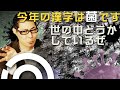 元国会議員秘書藤江氏再登場！2021年ニュース振り返りvol1。今年の漢字は菌でした。蔓延防止ってなんでしたっけ？