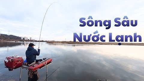 Sông Sâu Nước Lạnh Và Loại Cá Không Có Ở Việt Nam