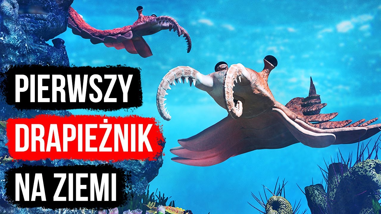 Te potwory siały postrach w morzach i oceanach na długo zanim pojawił się Megalodon
