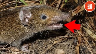 25 Facts About Evolution That Will Change How You See Life