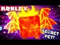 THE OVERLORD!? 😱 (HE FOUND THE SECRET PET) | Roblox Bubble Gum Simulator