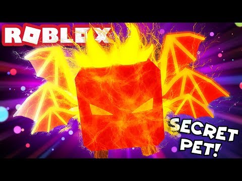 The Overlord He Found The Secret Pet Roblox Bubble Gum - bubble gum simulator codes inferno dragon roblox youtube