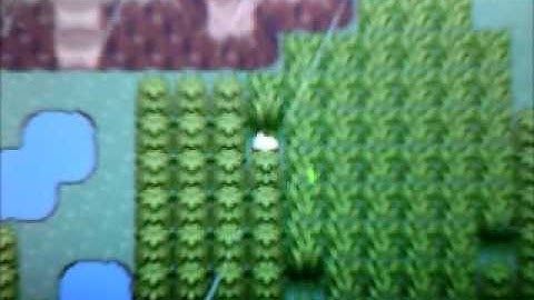 Pokémon Emerald Walkthrough Part 19 Route 119 & Weather Institute