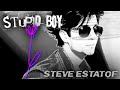 Steve estatof  stupid boy clip officiel