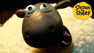 Crazy Sheep! 🐑 Shaun the Sheep 🐑  - Cartoons for Kids 🐑 Full Episodes Compilation [1 hour]
