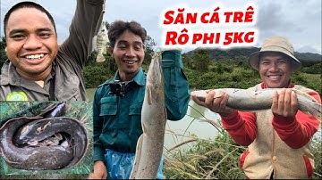 SĂN CÁ TRÊ ,RÔ PHI 5KG NGÀY MƯA BÃO VÀ CÁI KẾT