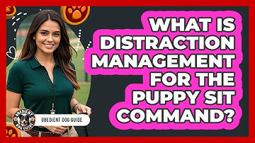 What Is Distraction Management For The Puppy Sit Command? - Obedient Dog Guide