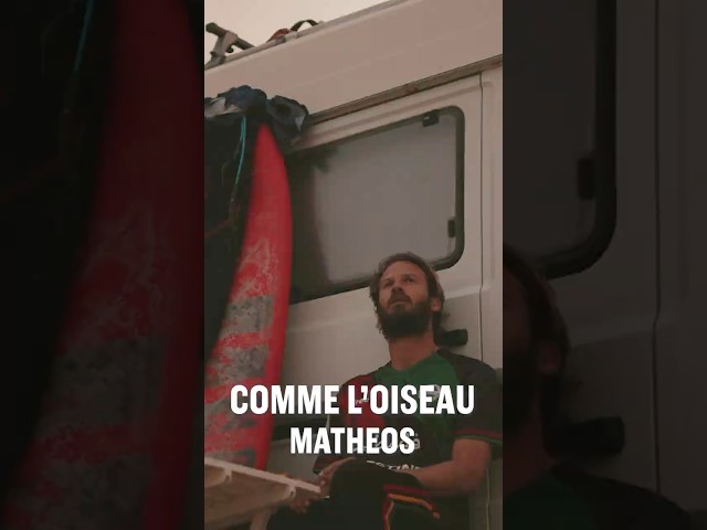 Ma nouvelle chanson Comme L’Oiseau est dispo partout et le clip sort mardi 🔥🔥