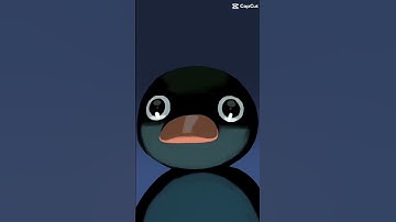 noot noot penguin meme||@Galactic_Orbit0