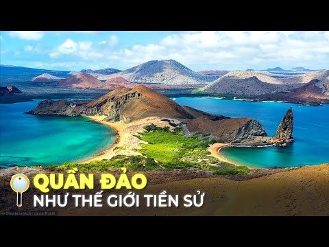 Video: 7 Chuyến tham quan Galapagos tốt nhất năm 2022