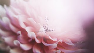 |vietsub - lyrics| Blue.D - Bloom