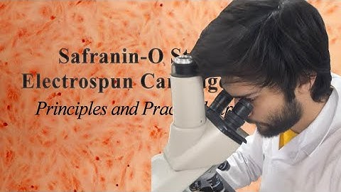 Safranin O Staining for Electrospun Cartilage Scaffolds | 7-Min Lab Protocol Guide
