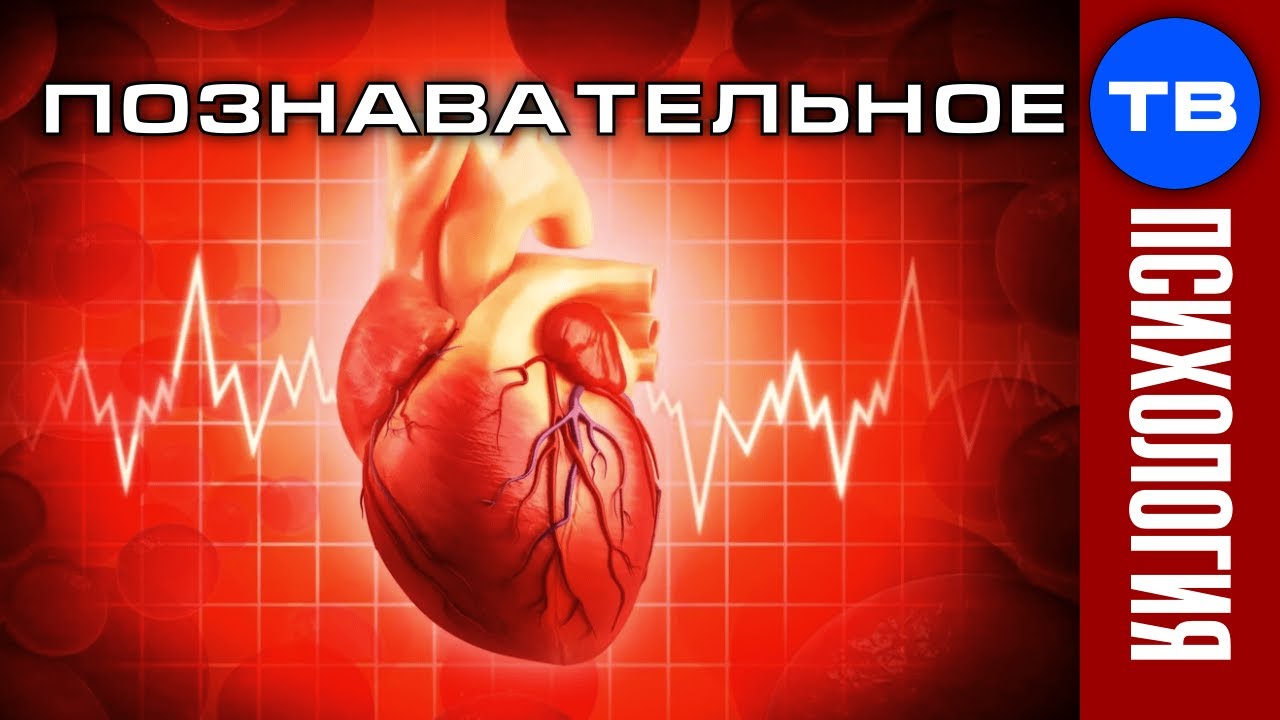 Почему болит сердце? Психосоматика сердечных заболеваний ...