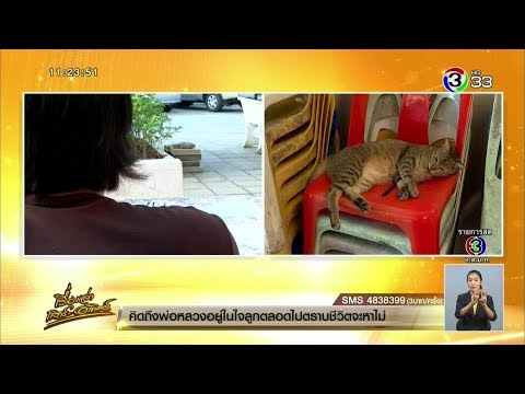 แม่แจงลูกเอาแมวไปปล่อย 50 ตัว ไม่เกี่ยวปมขึ้นทะเบียน 450 บาท - พระเตือนสติอย่าเลี้ยงตามกระแส